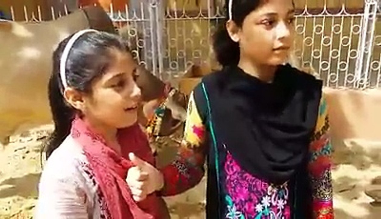 Bakra Eid Interview by child