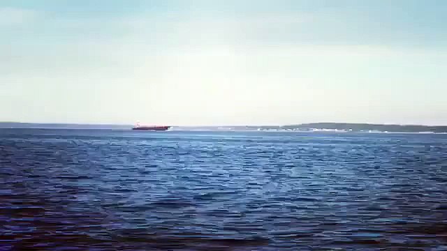 Whale Spotting at Long Island Sound