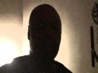 TORAPANOVOA Alibi Montana Itw