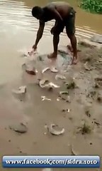 fish catching