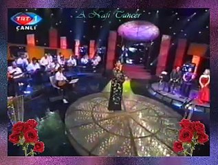 Gülşen KUTLU *Gönül Dağı Yağmur Yağmur Boran Olunca* (2)