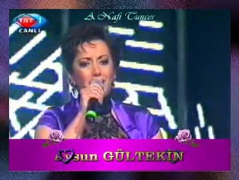 Aysun GÜLTEKİN *Urfa’nın Etrafı Dumanlı Dağlar*