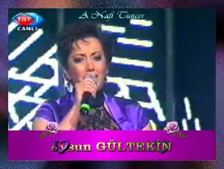 Aysun GÜLTEKİN *Urfa’nın Etrafı Dumanlı Dağlar*