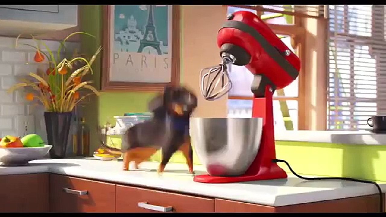 Funny Animation#1