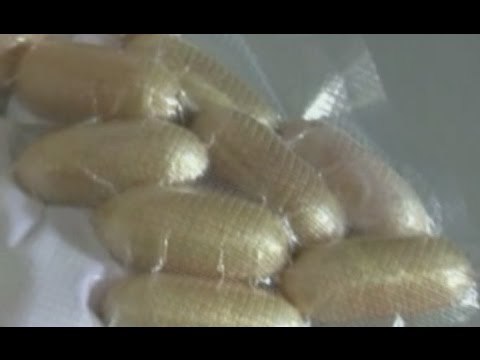 Roma - Sequestrati 50 chili di eroina in aeroporto: 11 arresti (26.09.15)