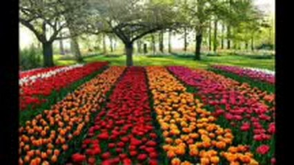 Los 4 acuerdos-El 3º acuerdo- no hagas suposiciones