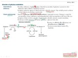 Biochemistry Metabolism Part 3