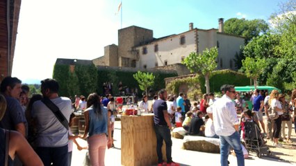 FESTA DE LA VEREMA 2015 - OLLER DEL MAS : FESTA DE LA VEREMA