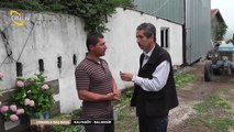 ÇOBANLA BAŞ BAŞA - 4  Keçi-Erbil-KALFAKÖY Gönen BALIKESİR
