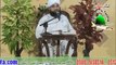 Peer Saqib Raza Mustafai sb