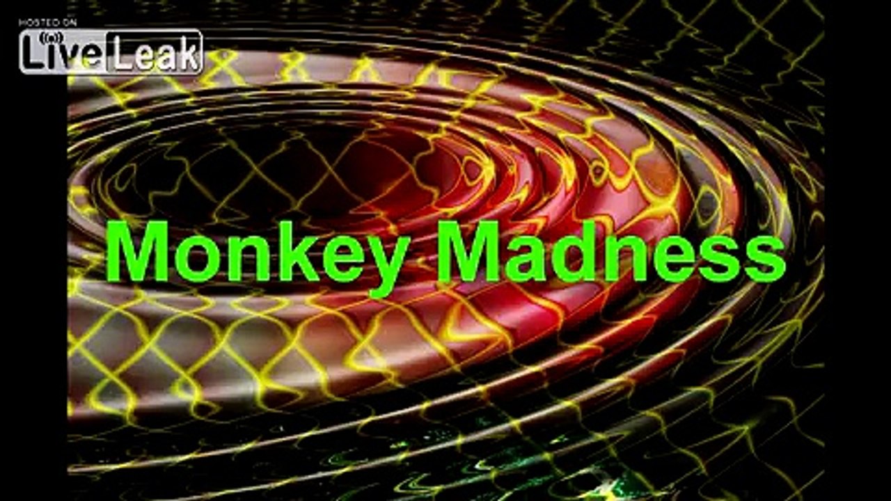 Monkey Madness
