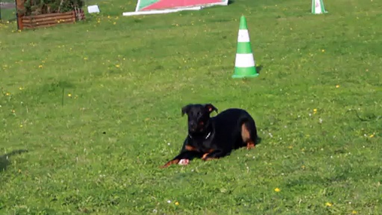 refus d apat de Indienne de Cheyenne