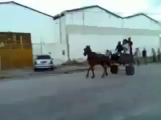 Amazing wheeling ..very funny video .Must watch