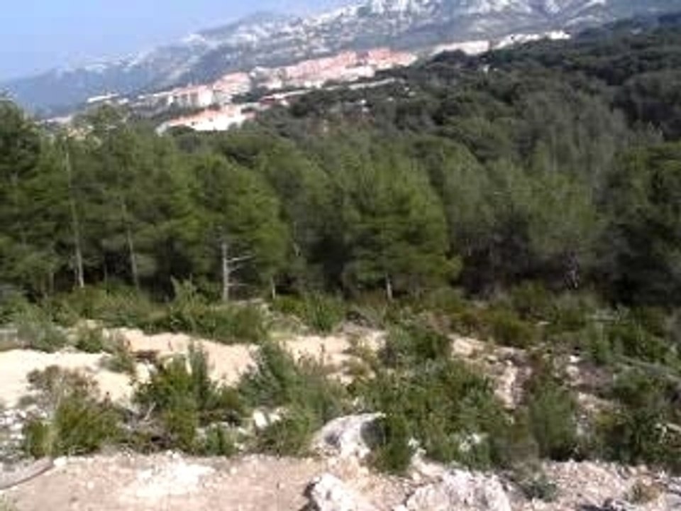 Tir_double_canon