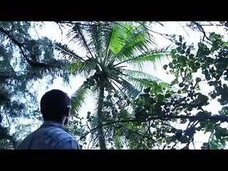 LKEL YOLLA ATE NASIL YAKILIR