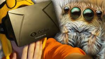 SUPERANDO MI MIEDO A LAS ARAÑAS | Oculus Rift
