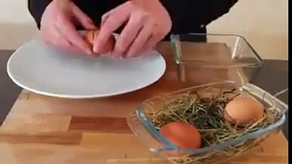 Yumurtann Sars Beyazndan Nasl Ayrlr