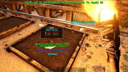 ARK- Survival Evolved - Noob Meets Pro! - EP.01