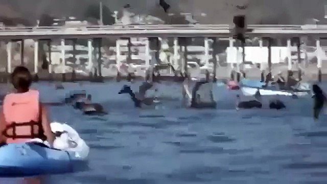 Морское чудовище или монстр хищник ЖЕСТЬ!