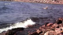 франческа купается
