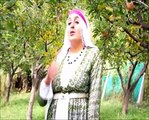 Ayşe Narin - Sebra Dıleweka (2014)