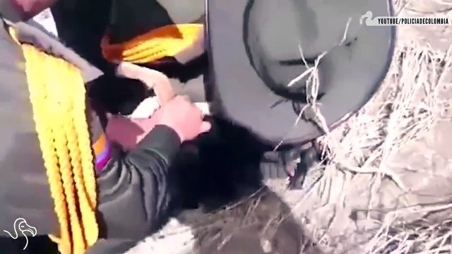 جان پر کھیل کر ایک کتے کی جان بچارہے ہو