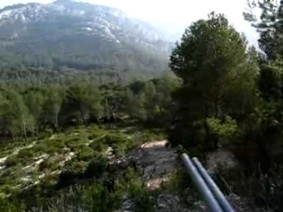 Tir_shotgun2