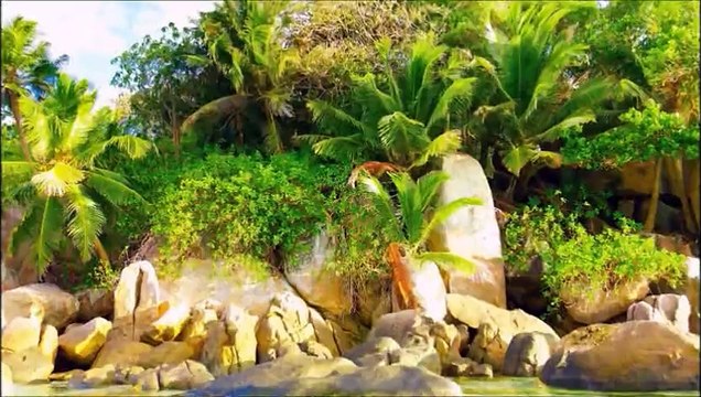 LOS PROBLEMAS AMBIENTALES 2