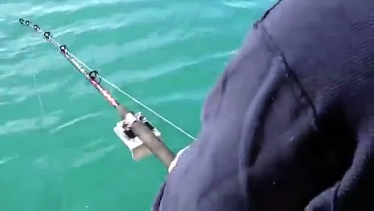 LiveLeak.com - Keep an eye on the fish