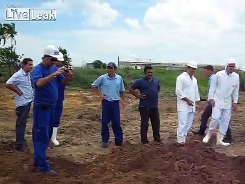 Bulldozer accidentally uncovers underground anaconda