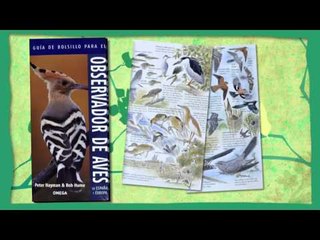 TV3 - Tocats de l'ala - Ocells de mar endins