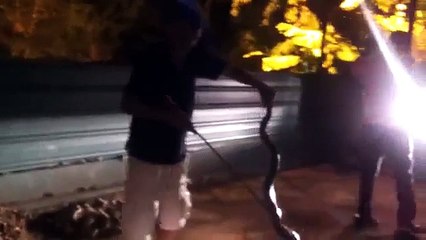 Animal attack man catch Cobra in sri lanka wild NEW@croos