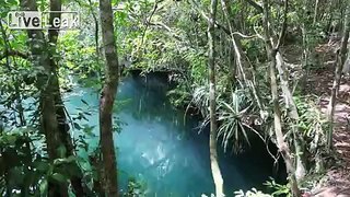 Cenote Angelita, The Underwater River.