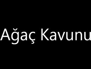 2013 En Yeni Sesli Çocuk Masalları OyunOynayruk Com