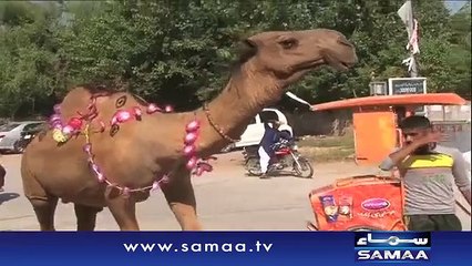 ‘Sajan’ Ki Qurbani _ ARY SAMAA TV