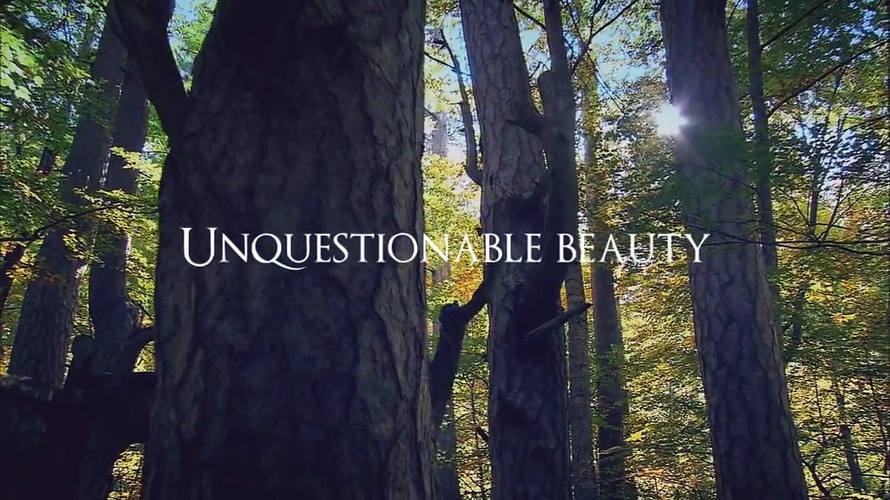 【BGDotaTV】 Balkan DotA League