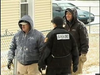 Runaway Bull When bulls go wild