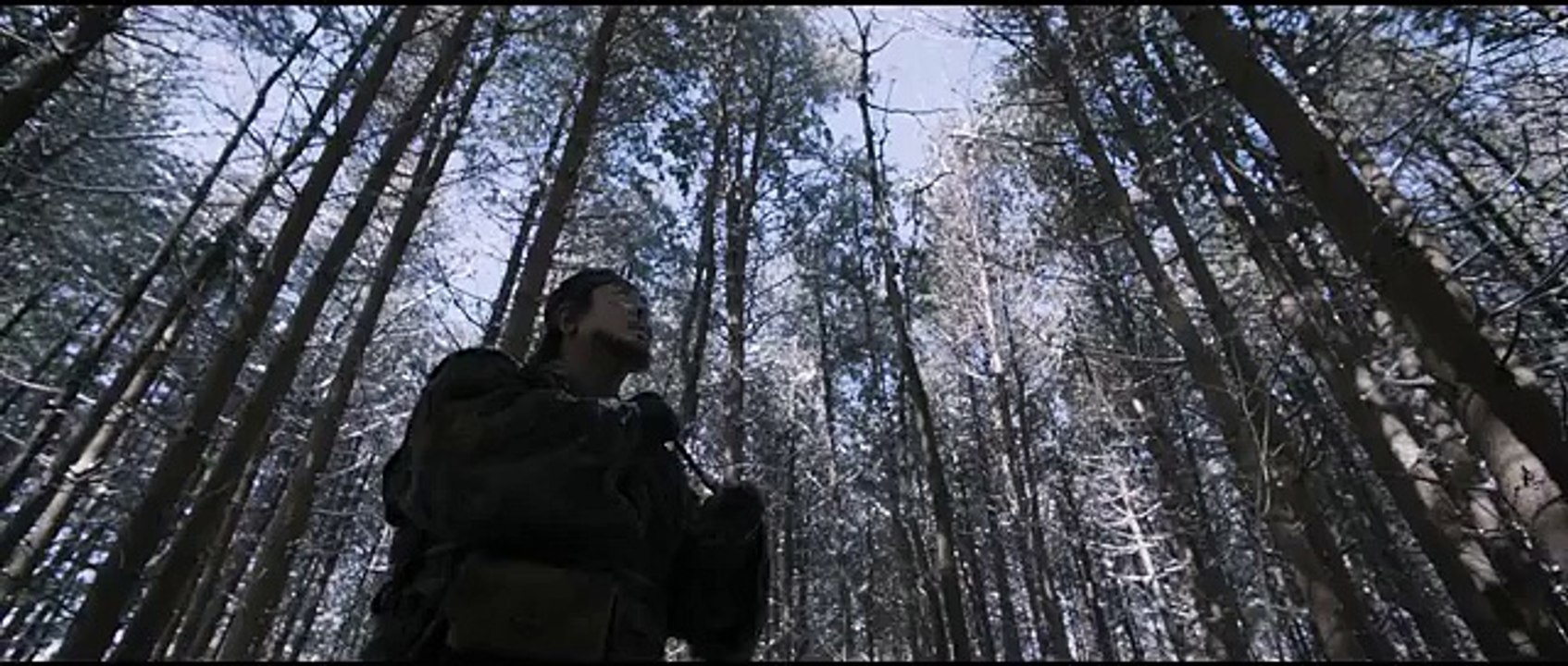 The Tiger : an Old Hunter's Tale - Teaser [VO]