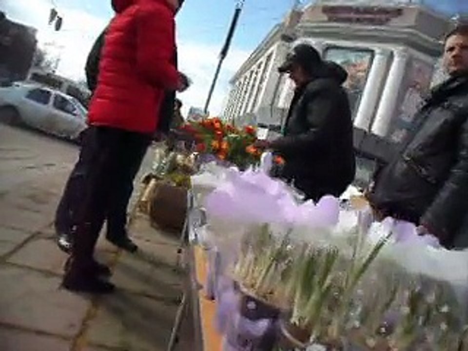 Цветы на улице