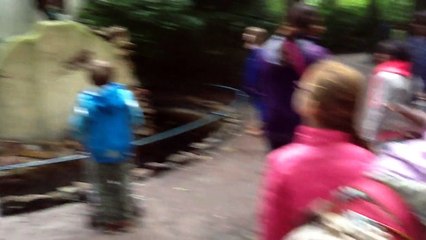 Met de kinderen in het sprookjesbos van de Efteling