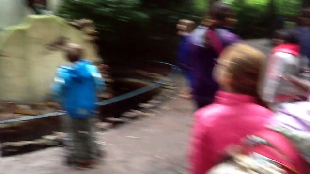 Met de kinderen in het sprookjesbos van de Efteling