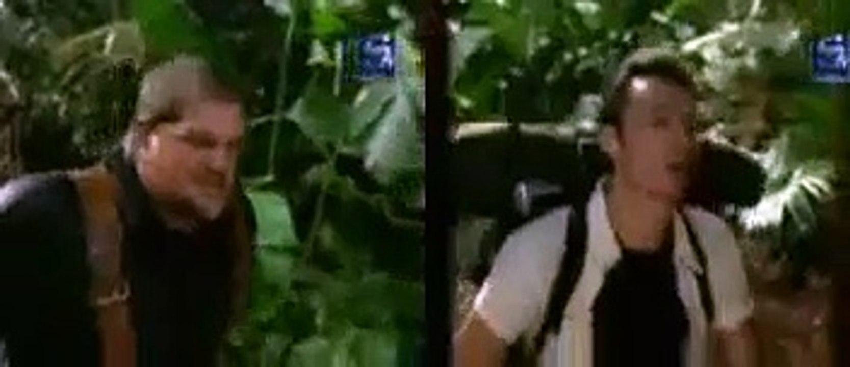 funny monkey in punjabi dubbing