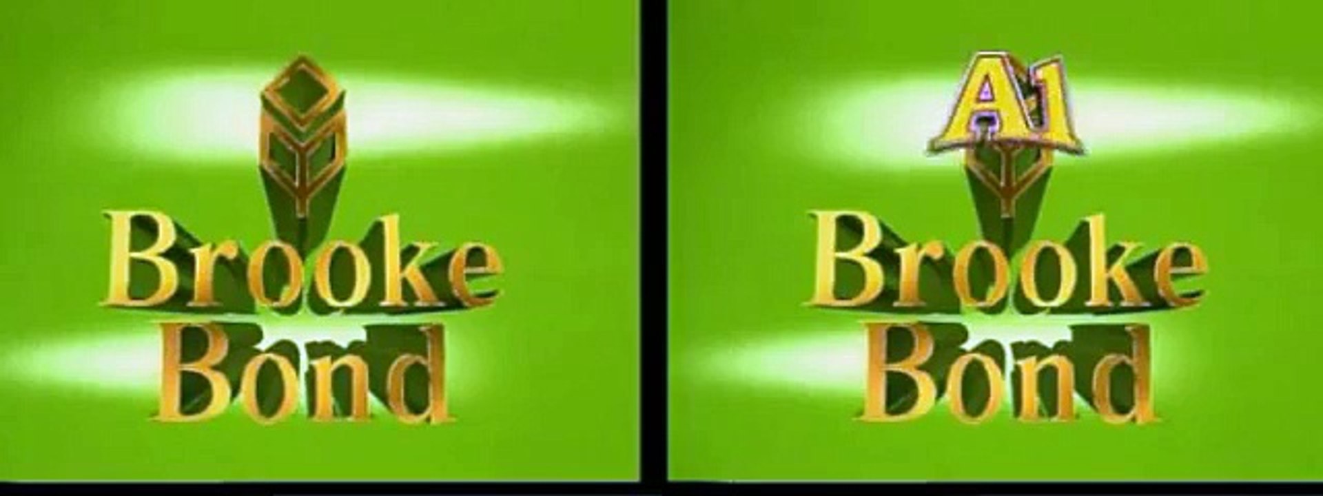 Brook Bond Punjabi Dubbing.avi