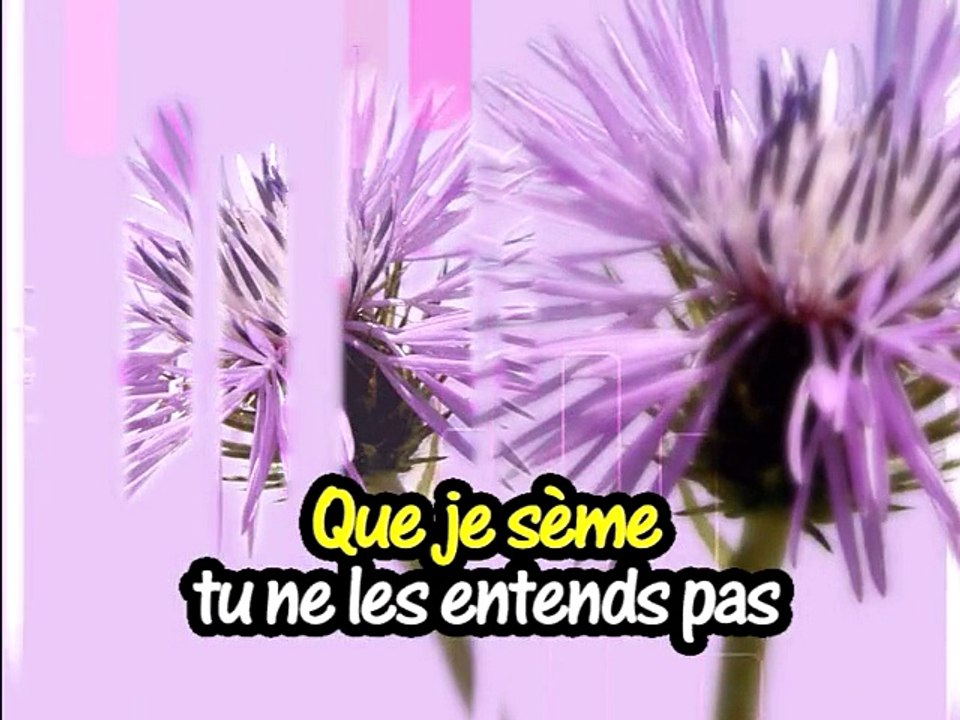 KARAOKE HELENE SEGARA  - Il y a trop de gens qui t'aime