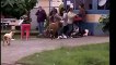 CRAZY SHEEP ATTACKING AND SCARING PEOPLE IN THE CITY Animal Videos