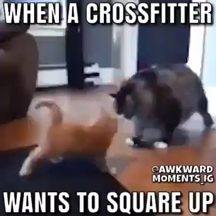 Crossfit vs bodybuilder