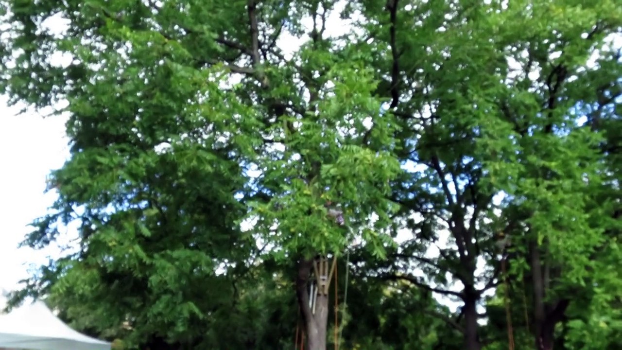 Tyrolienne au parc Monceau