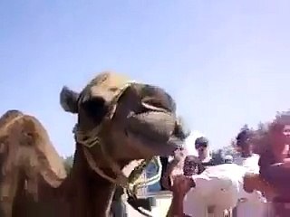 Coke has a new model now - dont miss