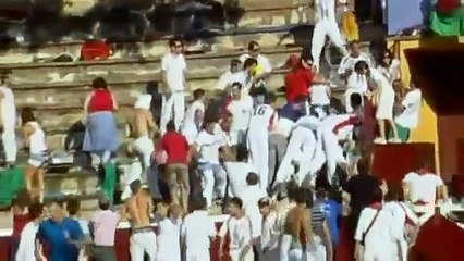 Bull Jumps Out of Ring and into Crowd and Attacks them