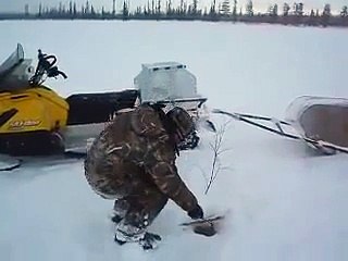 Ничего себе щука